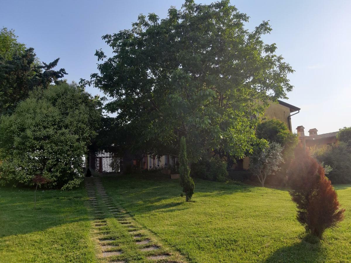 Agriturismo Trebis Вольта-Мантована Екстер'єр фото